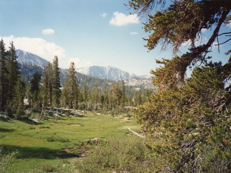 Mt Hutton