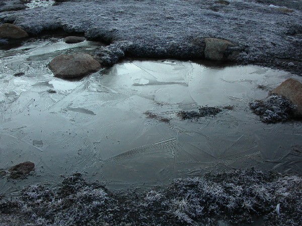 ice
