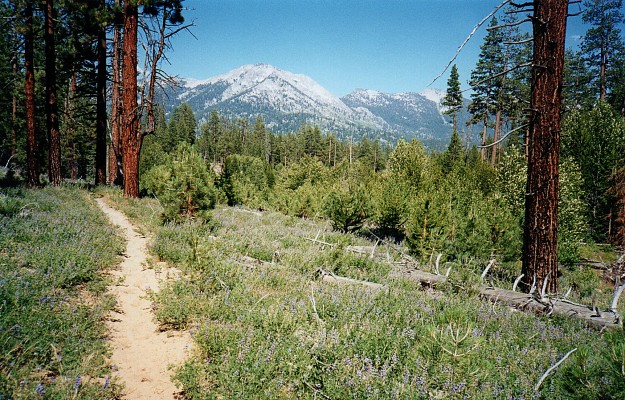 sandy trail