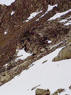 snowfields