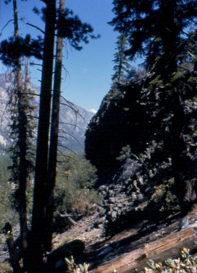Basalt outcrop next to trail