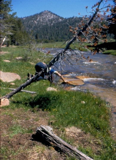 Bill dipping head in creek