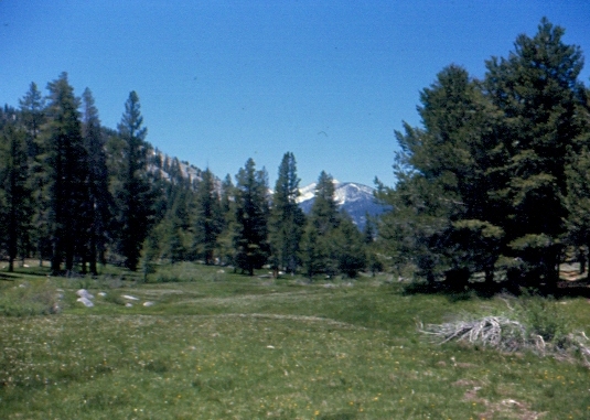 Little Whitney Meadow