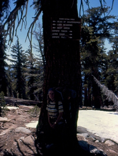 Trail sign at junction