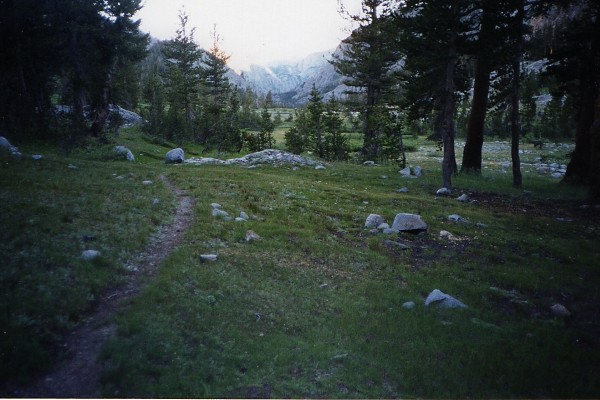 Goddard Cyn