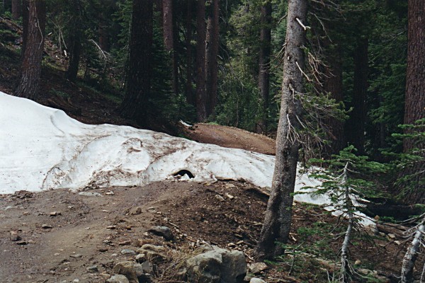 roadblock