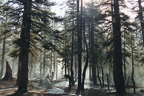 even more mist