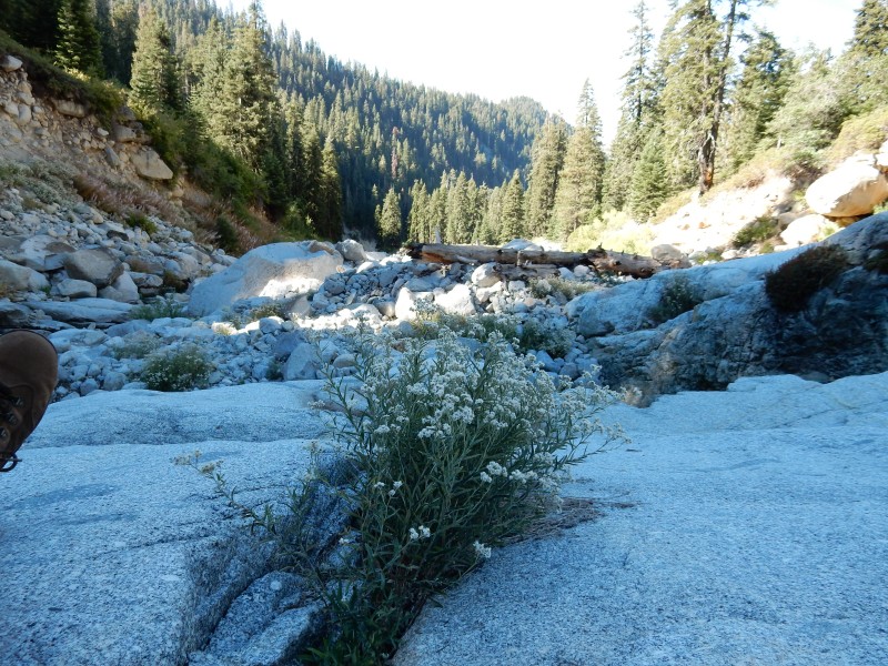 Buck Creek