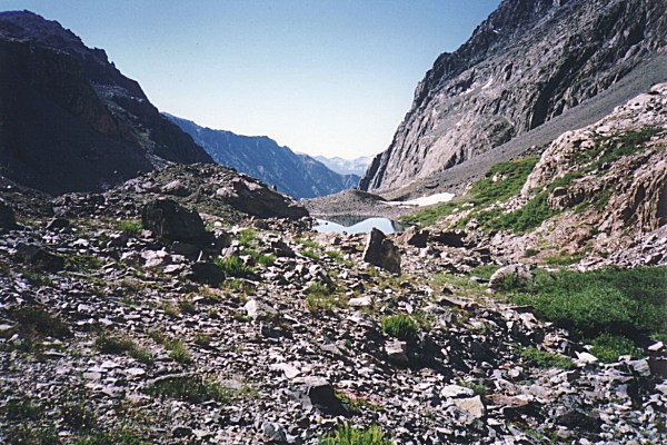 Oasis