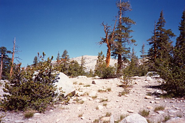 Blackcap Mtn