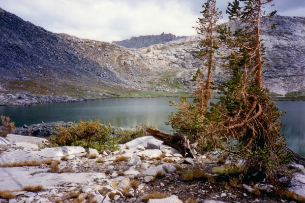 green lk