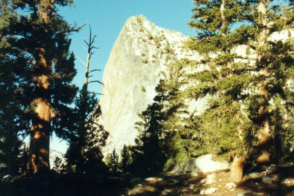 Charlotte Dome