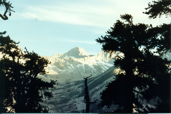 Mt Brewer