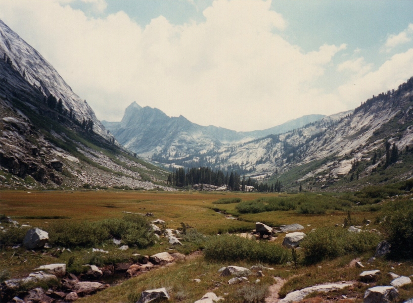 Ranger Meadow