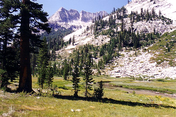 LeConte Cyn