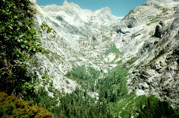 view