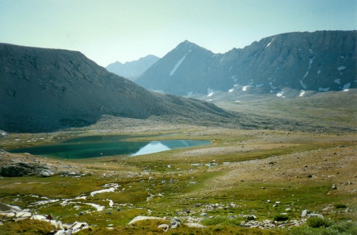 Frog Ponds