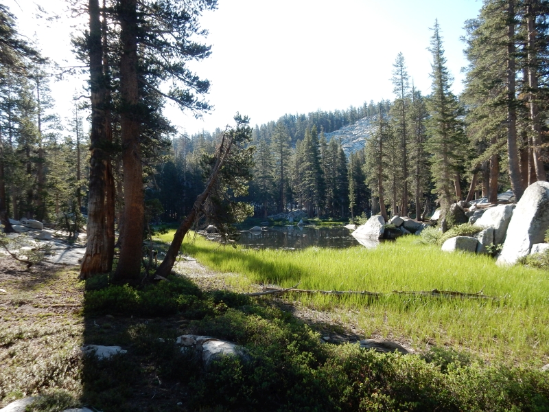 small ponds