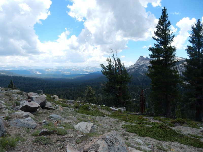 Black Pk view