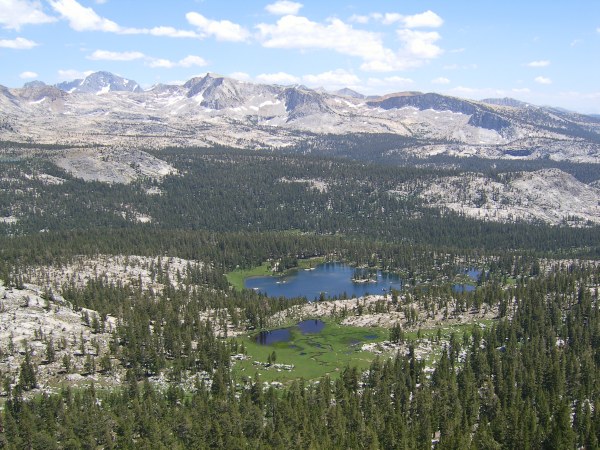 view