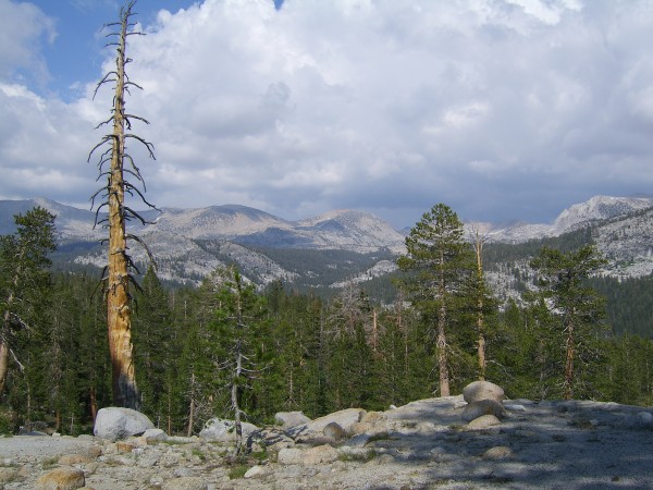Red Mtn