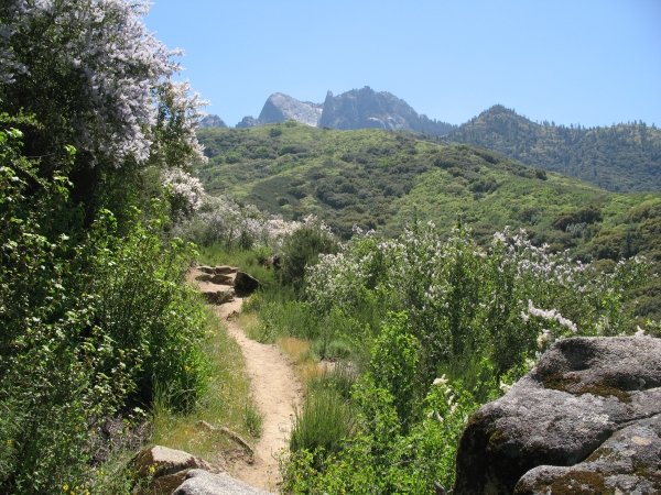 Castle Rocks