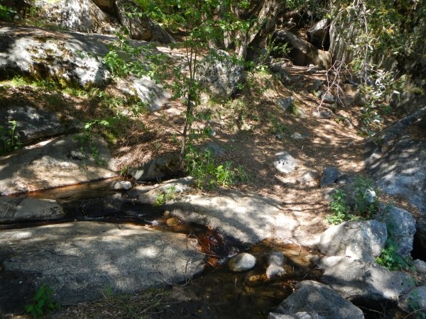 campsite