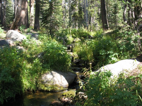 creek