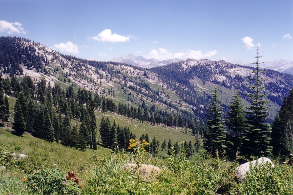 Upper Tent Meadow