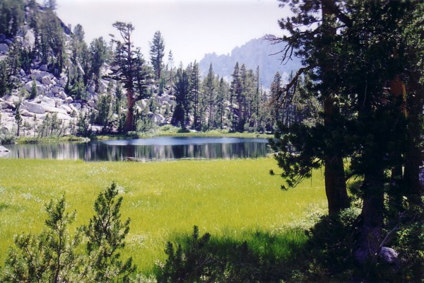 grassy lk