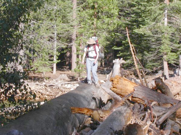 south fork xing
