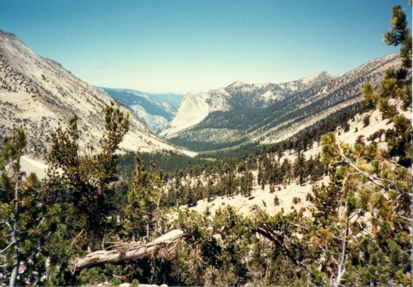 Charlotte Creek Valley