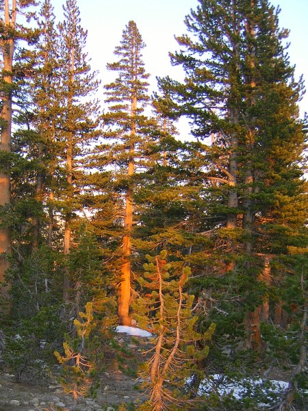 alpenglow