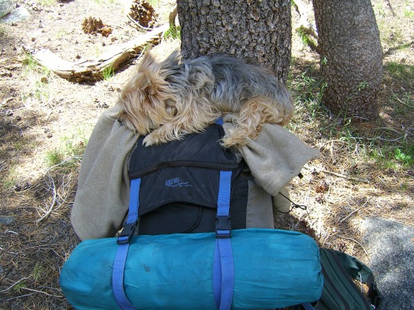 more napping