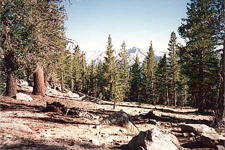S from Avalanche Ps