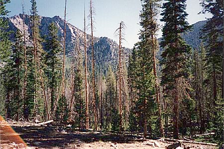 Avalanche Ps from S