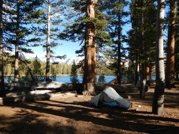 Forester Lake camp