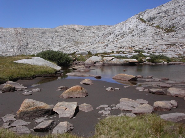 Chocolate Pudding Tarn
