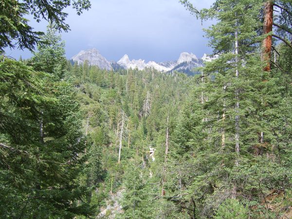 view