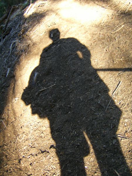 shadow