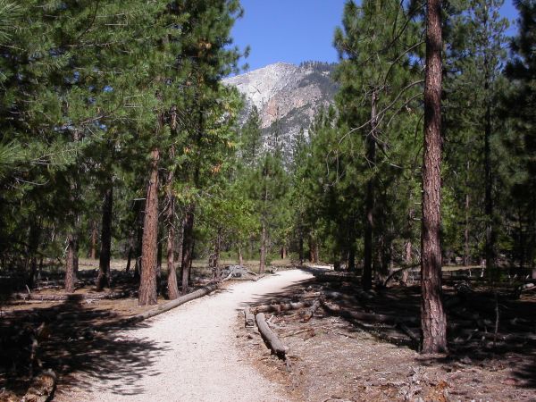 trail