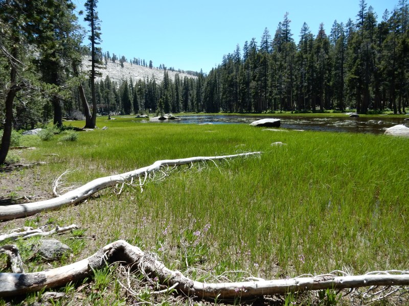 pond at trail sign
