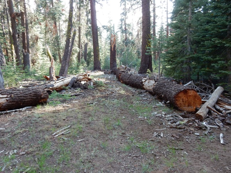 Crown Valley Trail