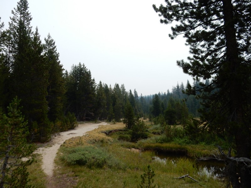 Long Meadow
