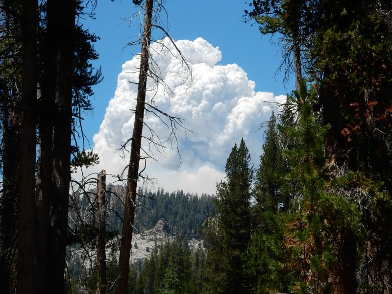 pyrocumulus cloud