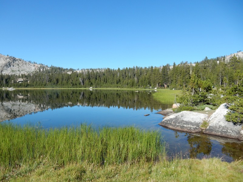Nelson Lake