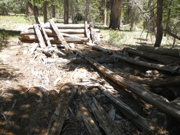 Lacy Camp