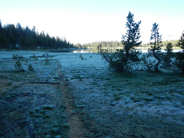 frost